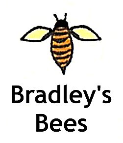 brandleysbee.jpg